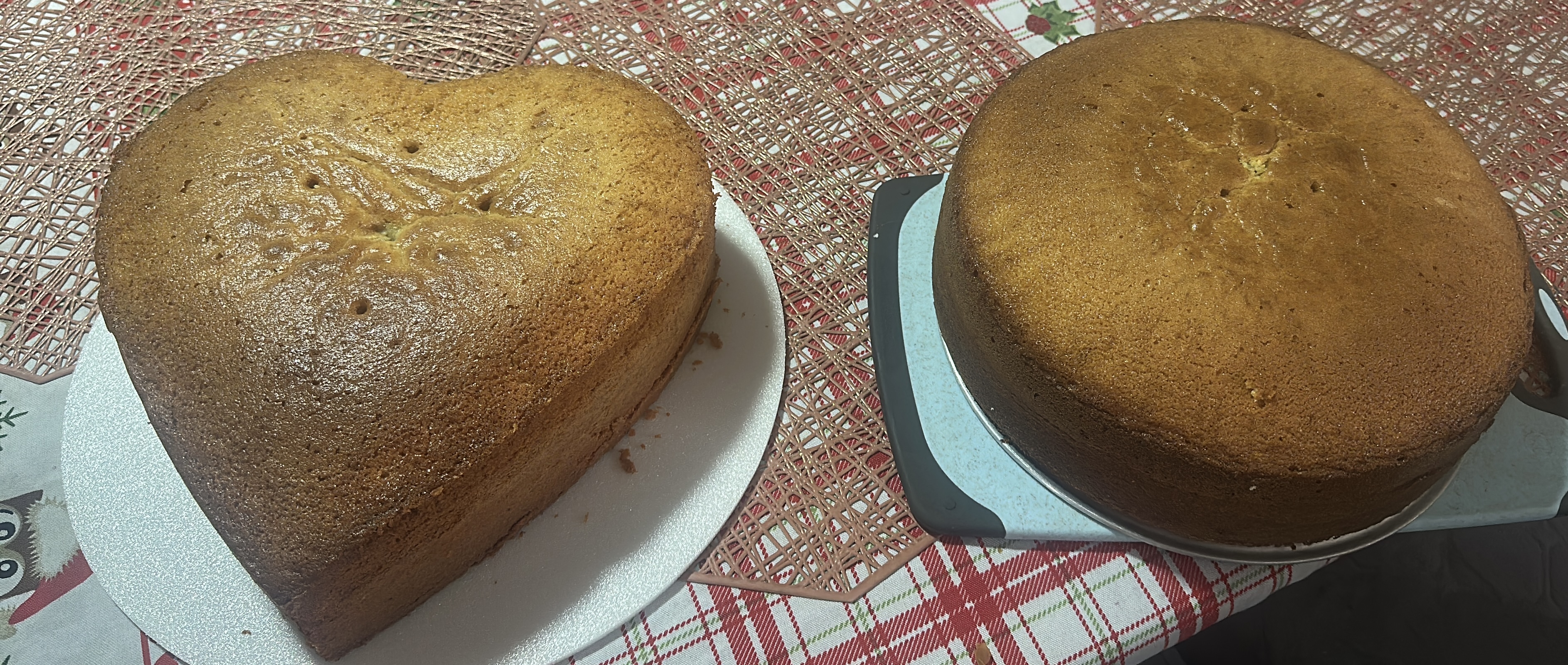 Bizcochos de vainilla 